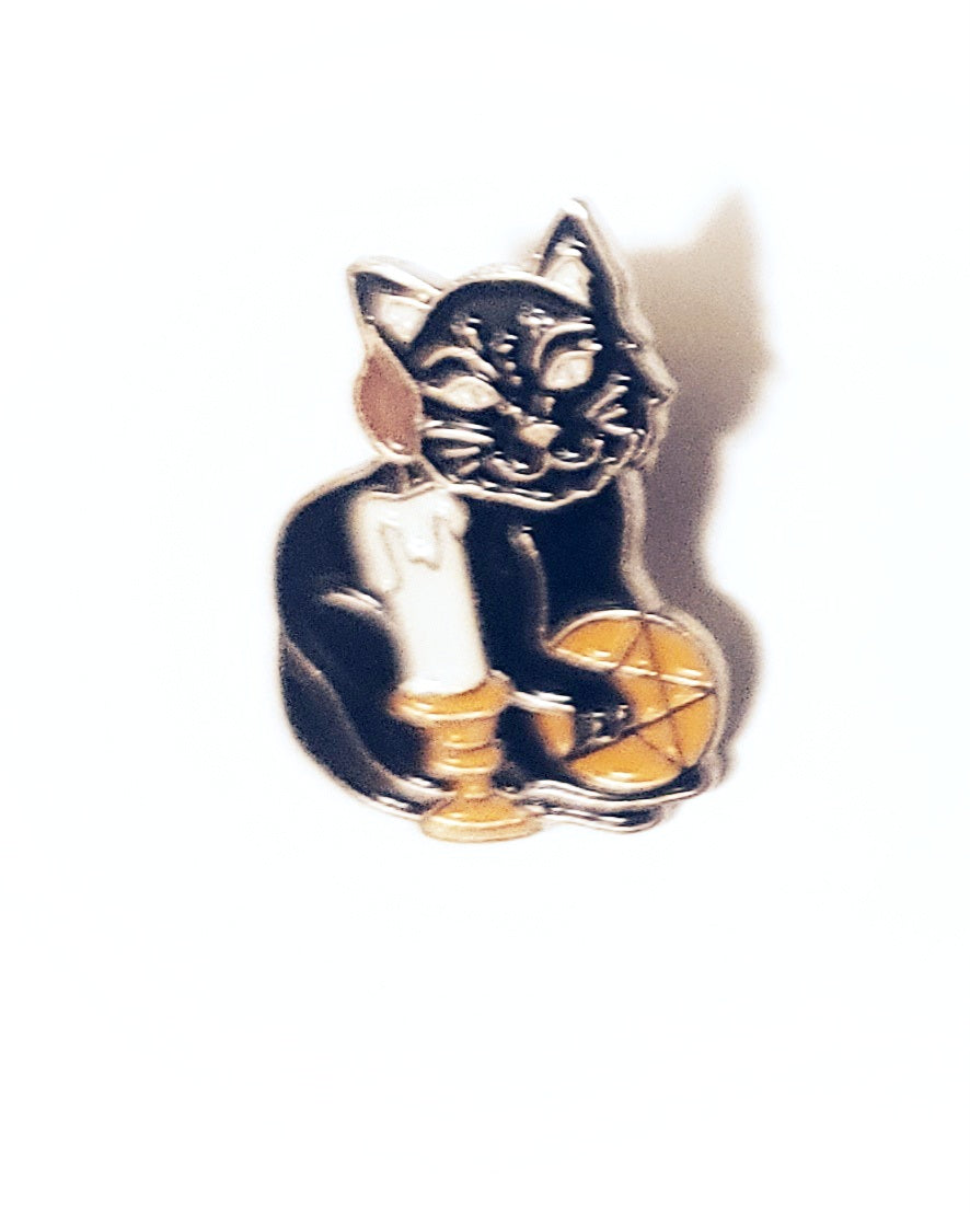 Witch Cat Pin