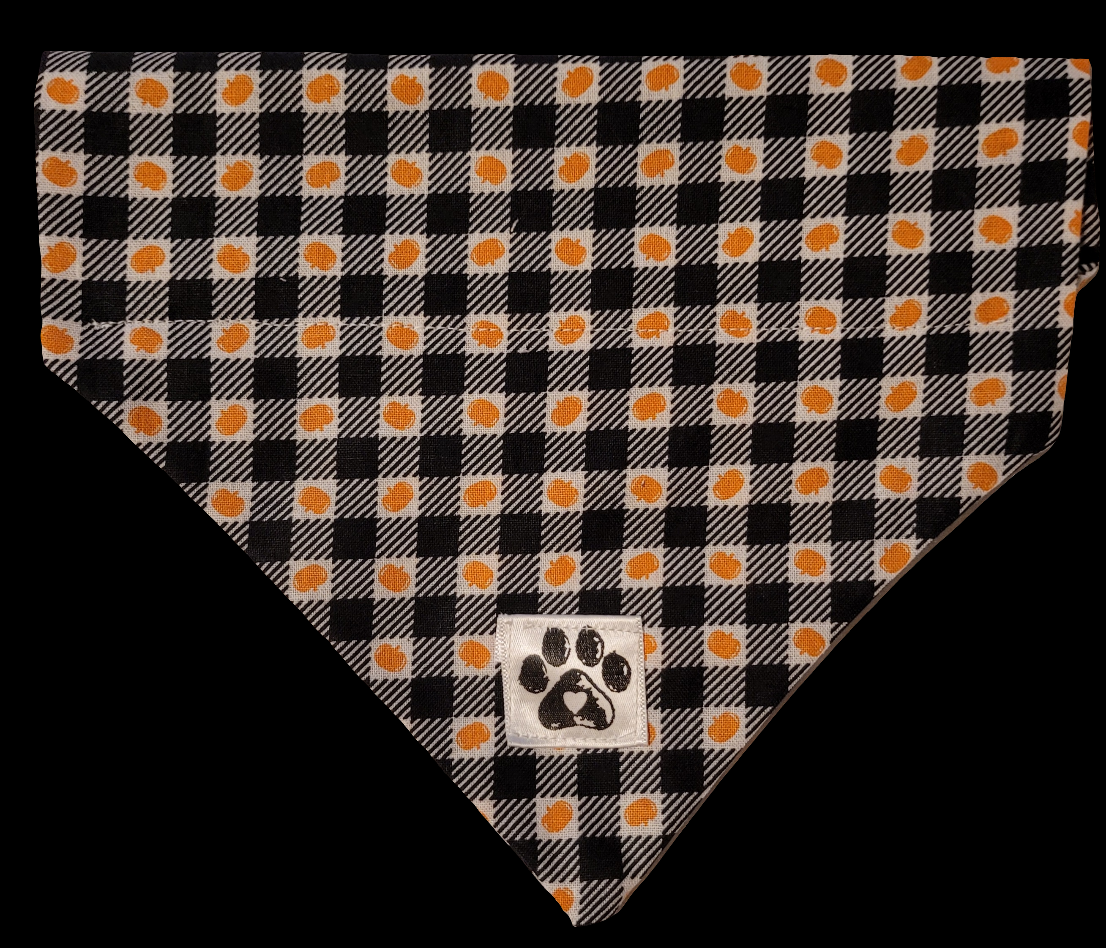 Fall Pumpkin Slip Pet Bandana