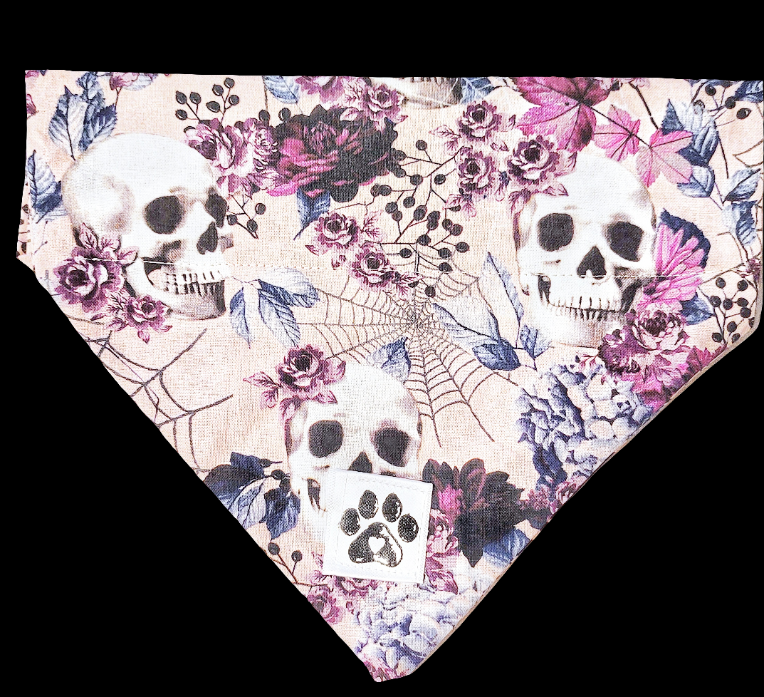 Fall Skull Slip Pet Bandana