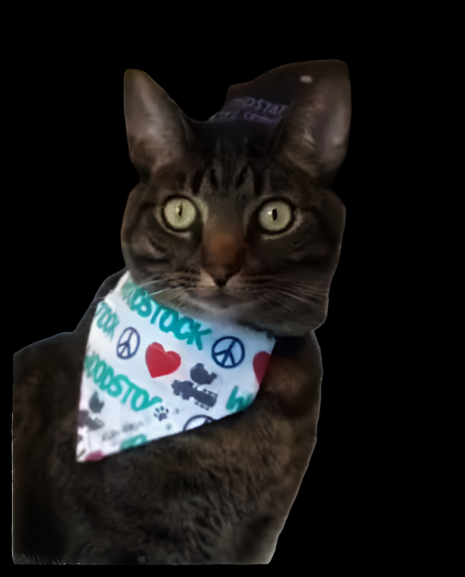 Woodstock Pet Bandanas