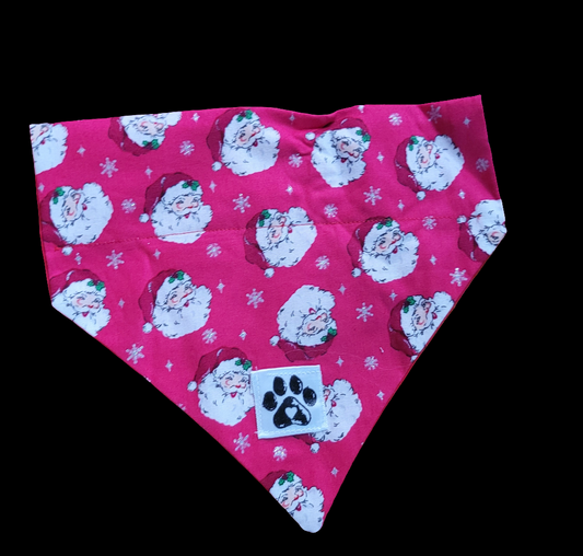 Pawliday Slip-on Pet Bandana