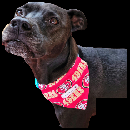 Add a stylish flair with my handmade, slip-on pet bandanas! 