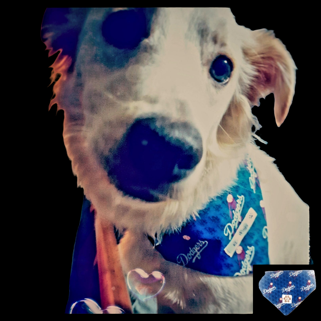 Dodgers Sports Pet Bandanas