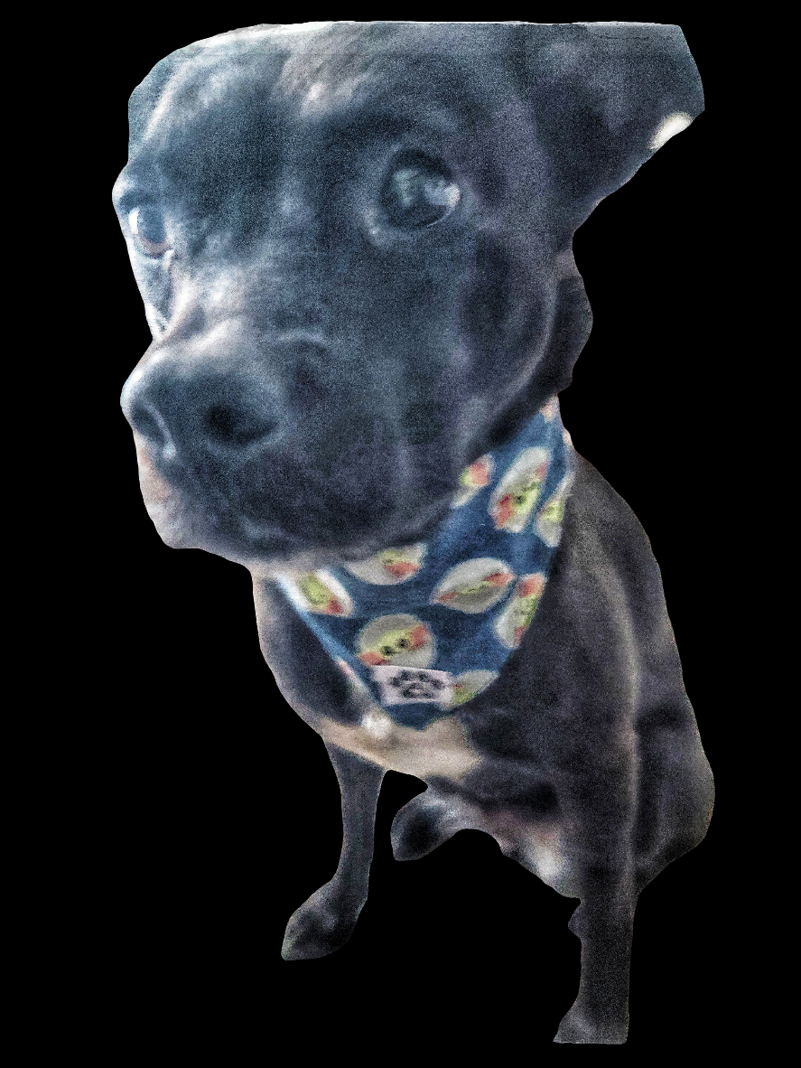 Baby Yoda Flannel Pet Bandanas