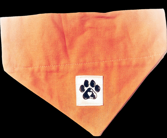 Coral Pet Bandanas