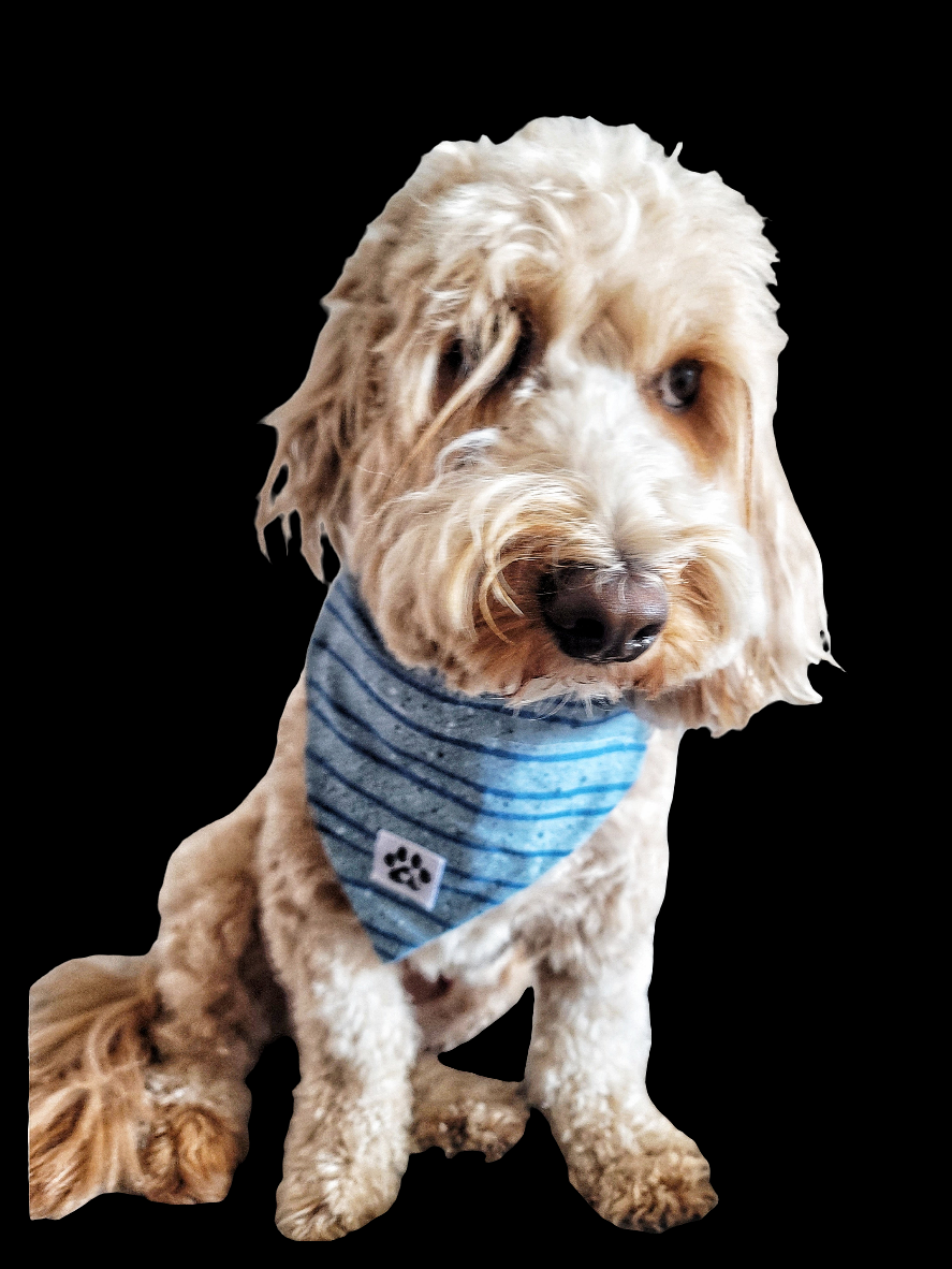 Blue stripes Pet Bandanas