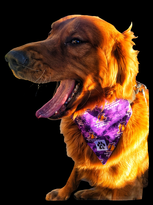 Lakers Sports Pet Bandanas