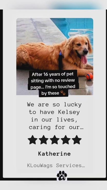 KLouWags Services Review and Price Page 🐾