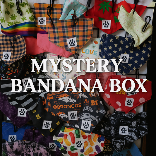Mystery Bandana Box