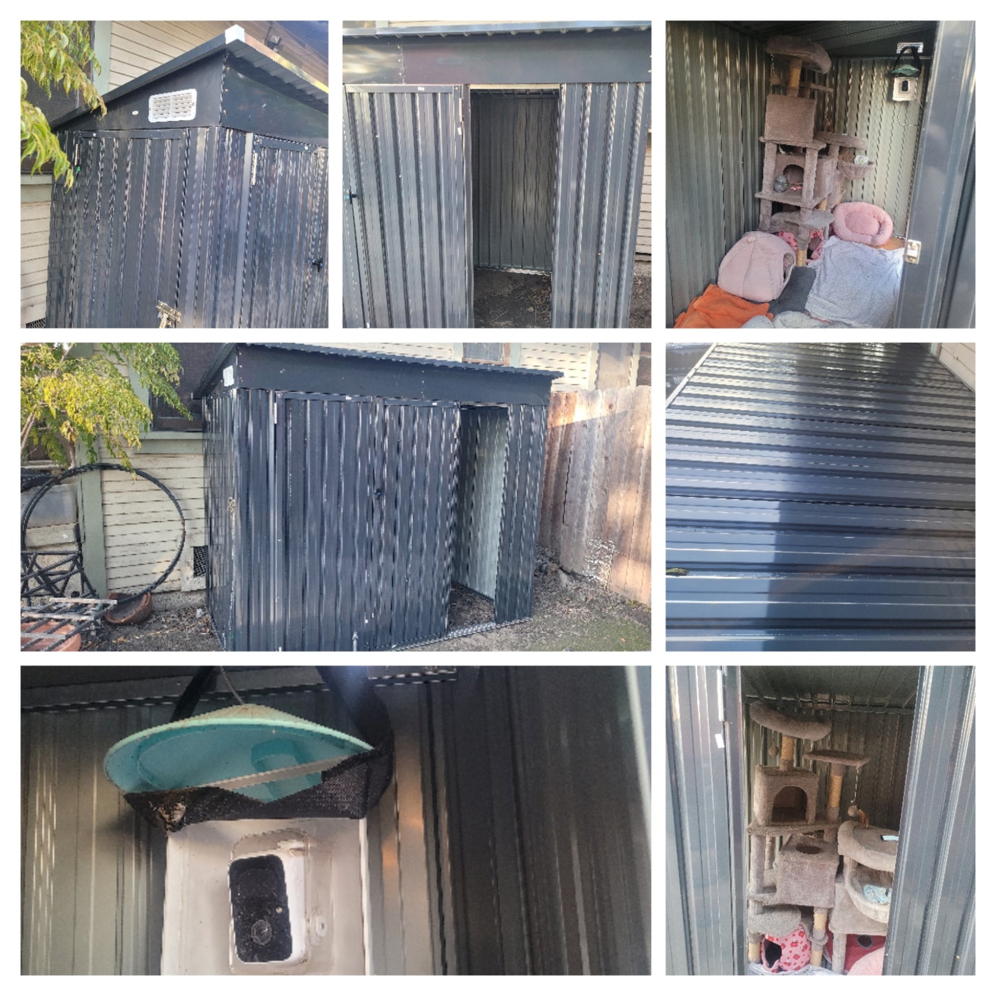 🐾 Sponsor a Meal for My Adorable Shed Cats🥹😻🫶